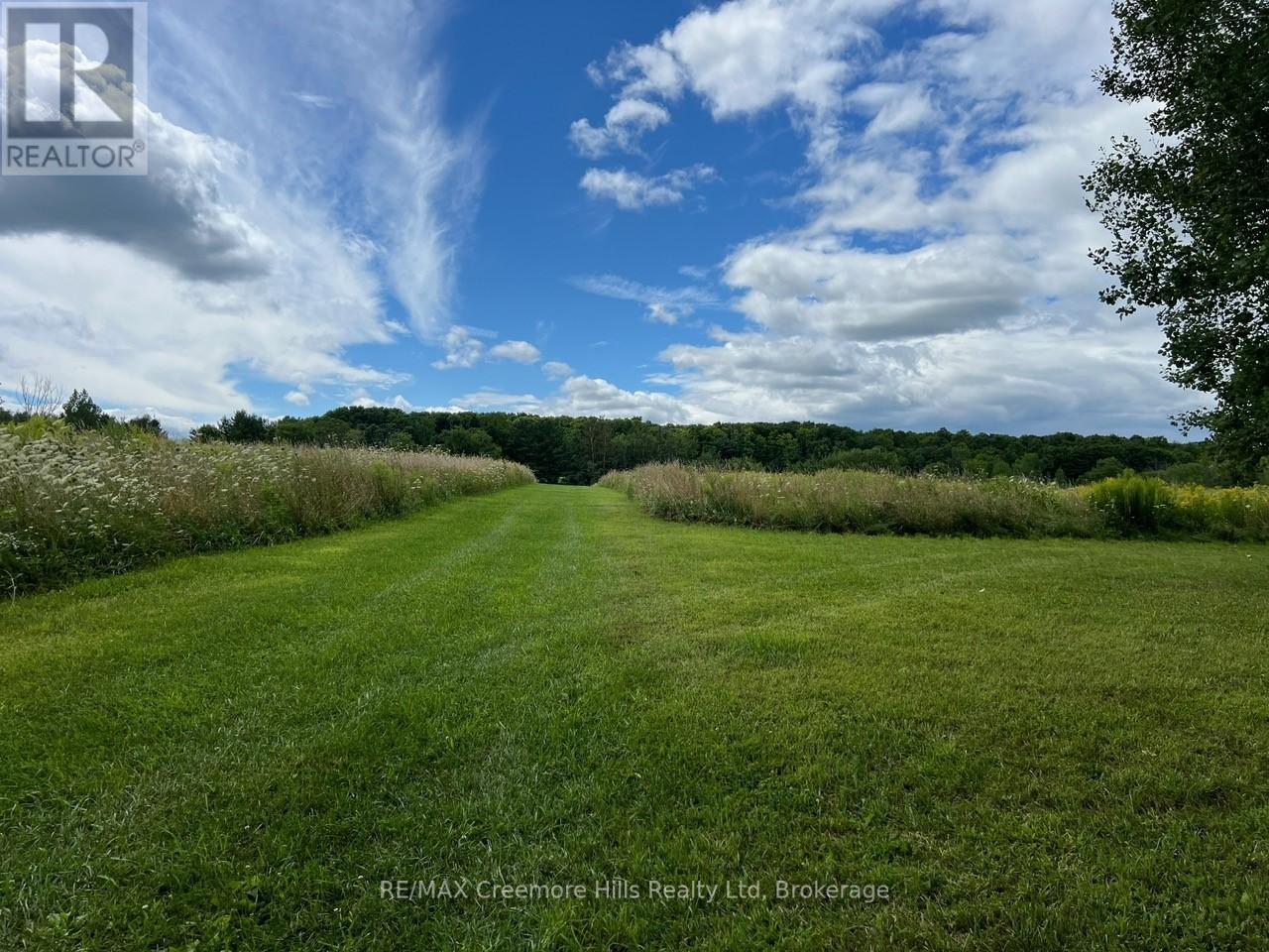 2332 Centre Line, Clearview, Ontario  L0M 1G0 - Photo 14 - S12514934