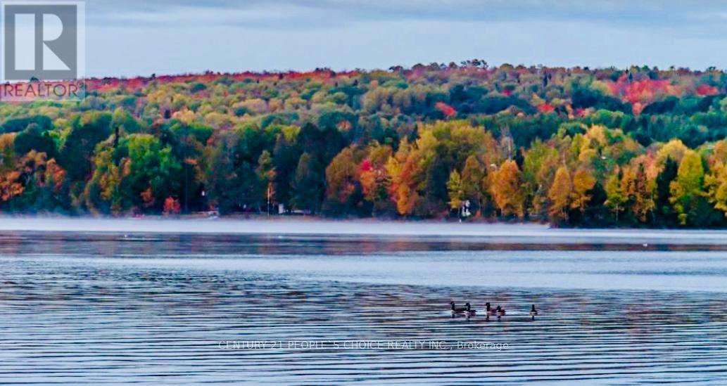 1356 South Lake Bernard Road, Strong, Ontario  P0A 1Z0 - Photo 24 - X12514808