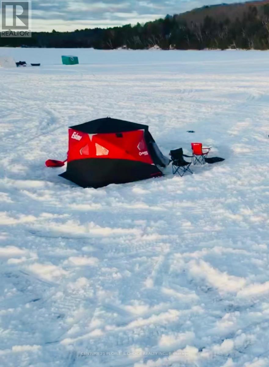 1356 South Lake Bernard Road, Strong, Ontario  P0A 1Z0 - Photo 25 - X12514808