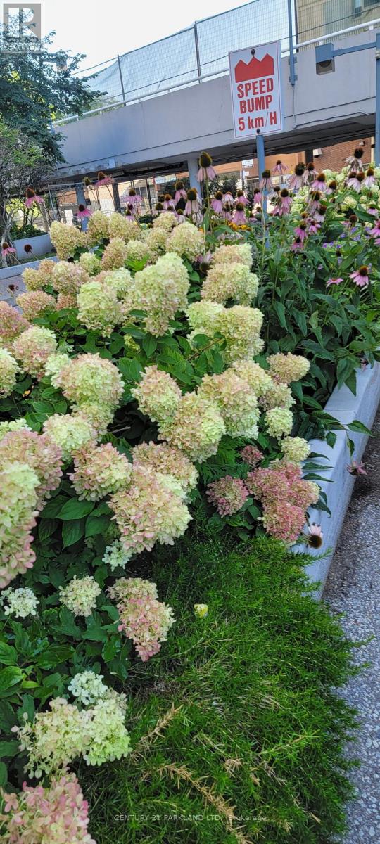 1102 - 3 Massey Square, Toronto, Ontario  M4C 5L5 - Photo 10 - E12514840