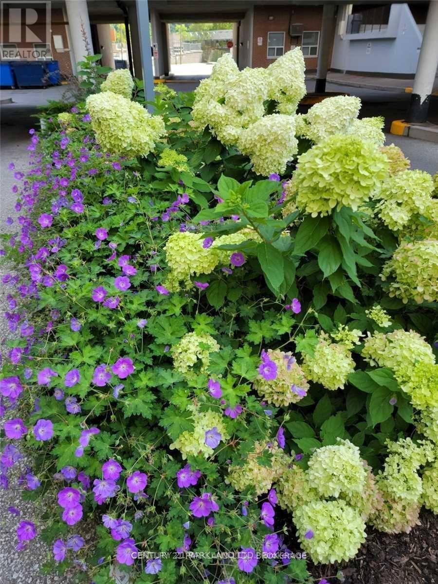 1102 - 3 Massey Square, Toronto, Ontario  M4C 5L5 - Photo 12 - E12514840