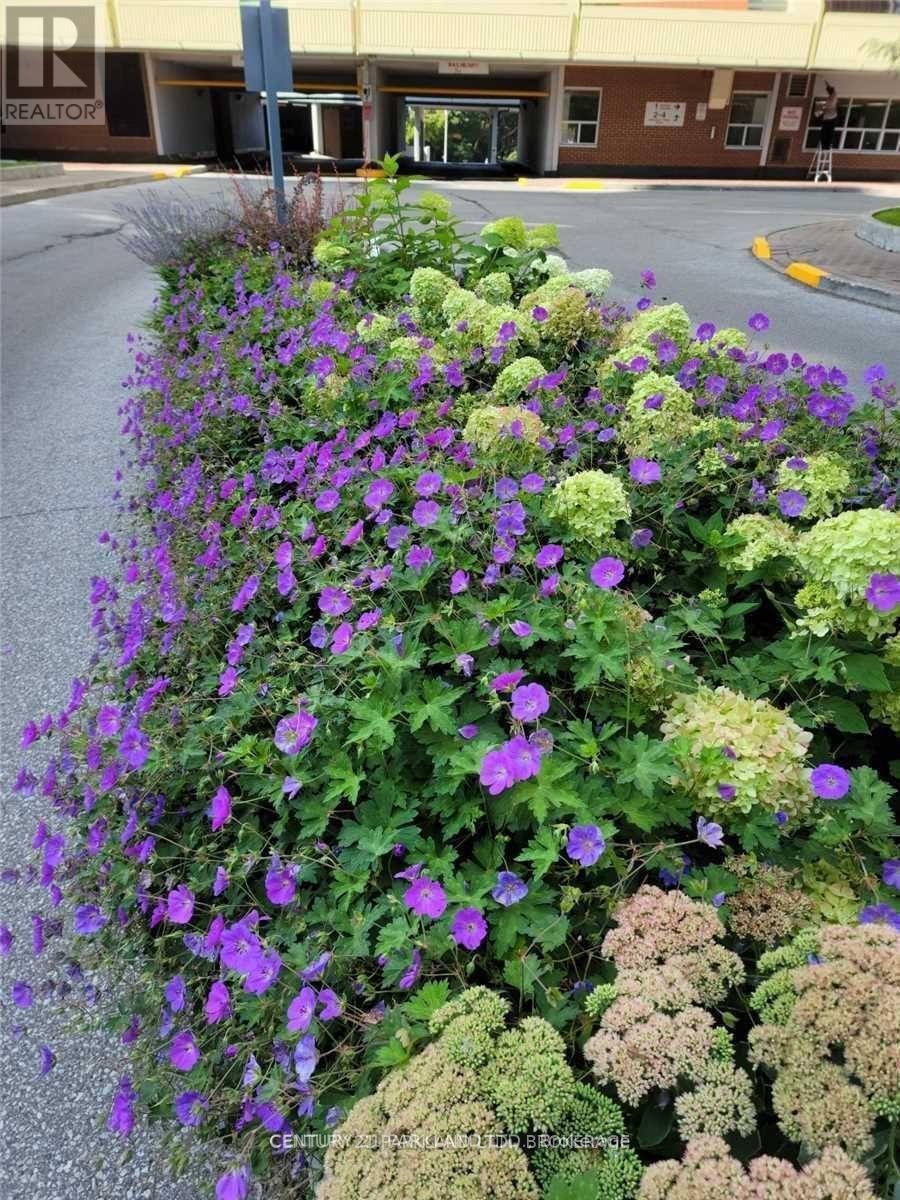 1102 - 3 Massey Square, Toronto, Ontario  M4C 5L5 - Photo 11 - E12514840