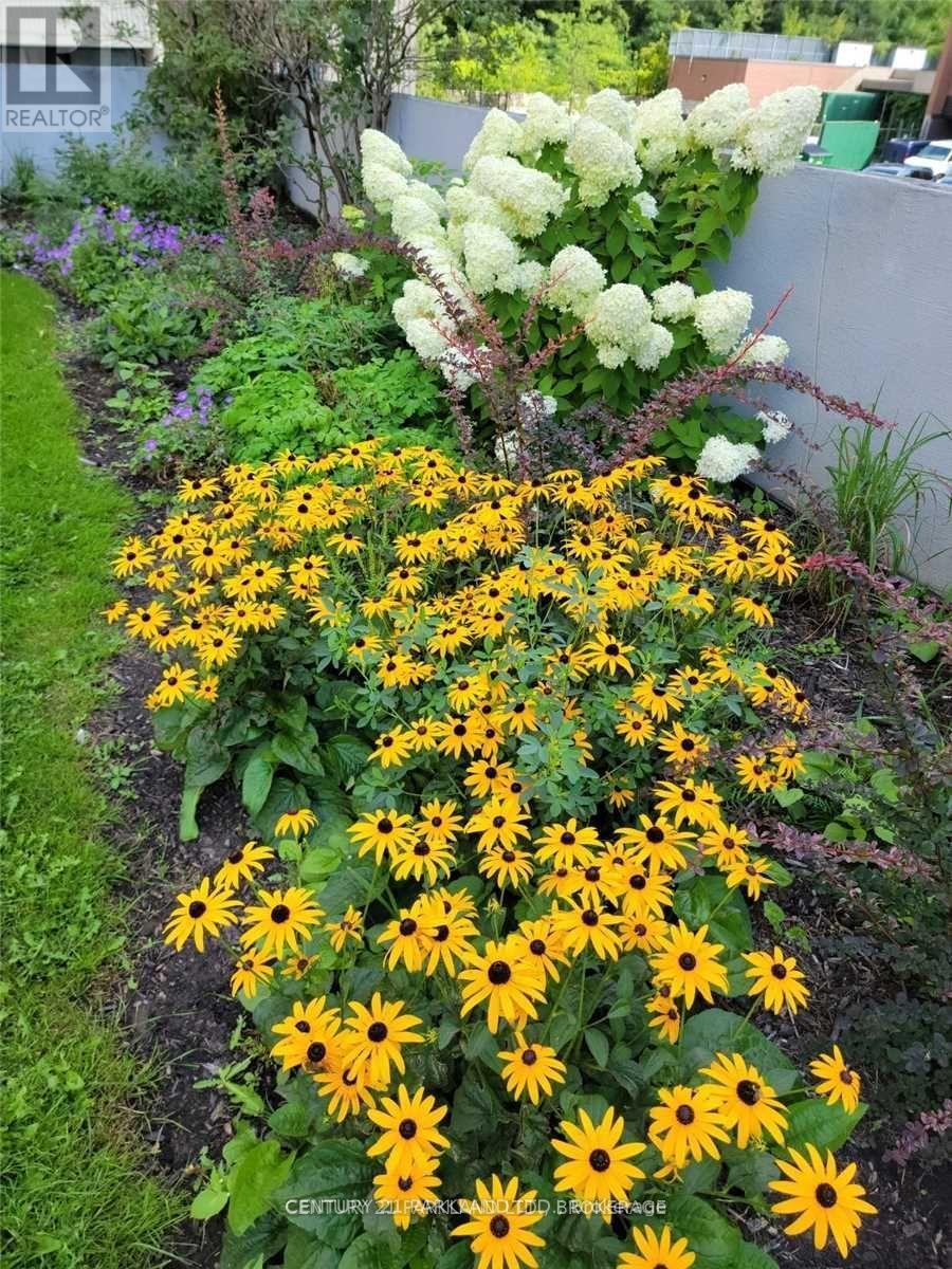 1102 - 3 Massey Square, Toronto, Ontario  M4C 5L5 - Photo 13 - E12514840