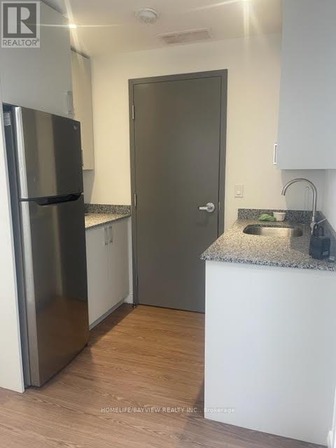 202 - 282 Parliament Street, Toronto, Ontario  M5A 3A4 - Photo 11 - C12514890