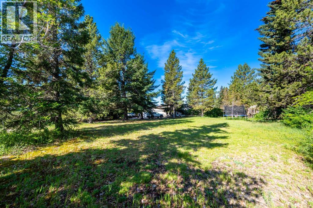 244027 Horizon View Road, Rural Rocky View County, Alberta  T3Z 3M5 - Photo 8 - A2258259