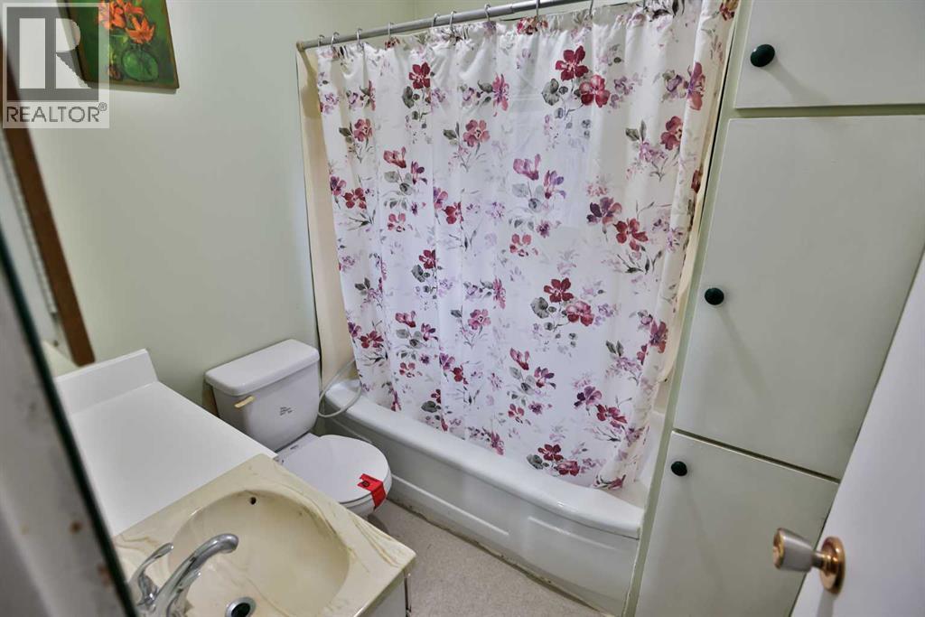 217 1 Street N, Lomond, Alberta  T0L 1G0 - Photo 9 - A2268530