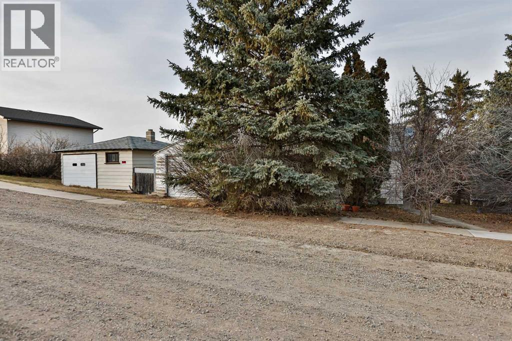 217 1 Street N, Lomond, Alberta  T0L 1G0 - Photo 12 - A2268530