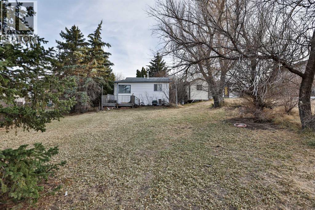 217 1 Street N, Lomond, Alberta  T0L 1G0 - Photo 1 - A2268530