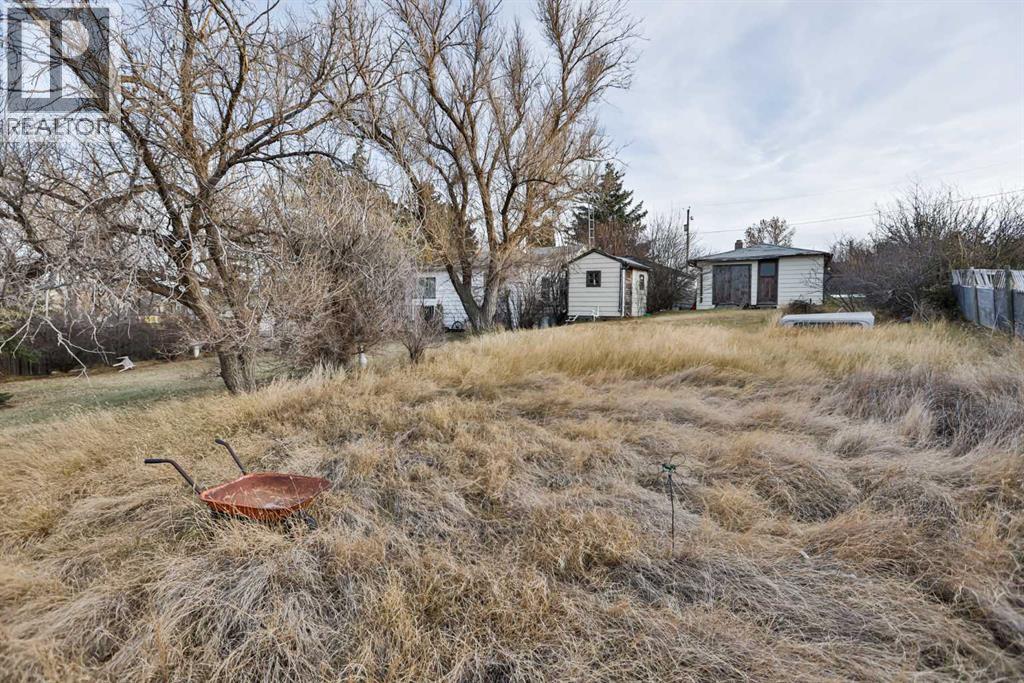 217 1 Street N, Lomond, Alberta  T0L 1G0 - Photo 15 - A2268530