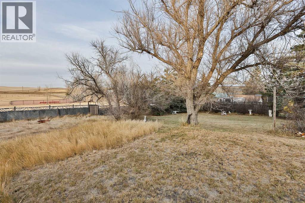 217 1 Street N, Lomond, Alberta  T0L 1G0 - Photo 17 - A2268530