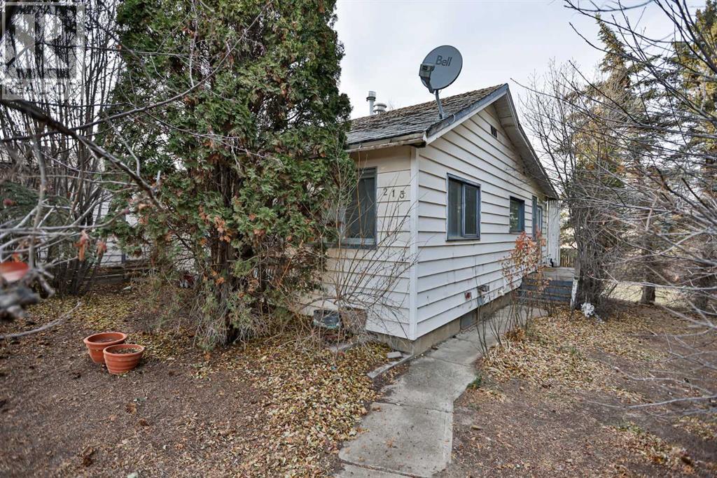 217 1 Street N, Lomond, Alberta  T0L 1G0 - Photo 2 - A2268530