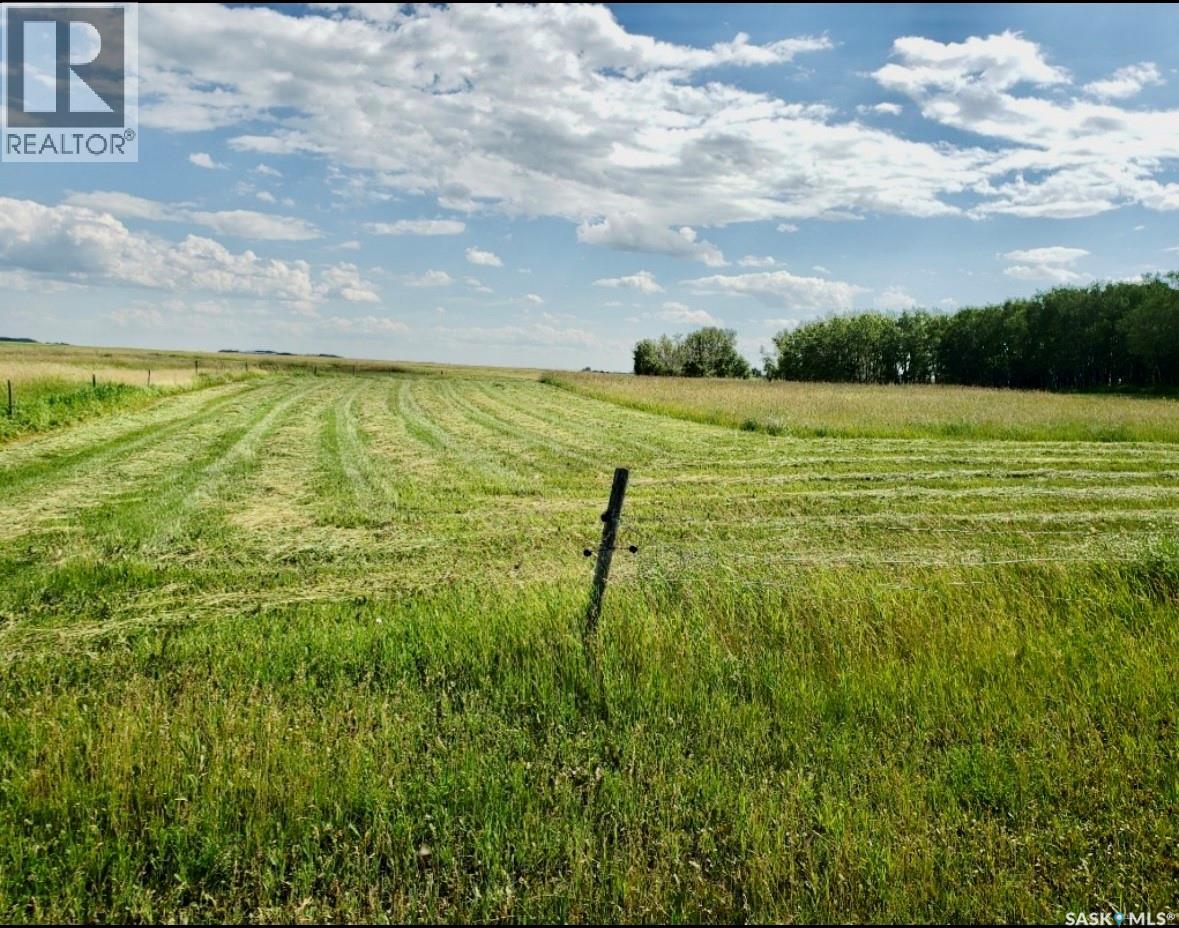 Neufeld Spalding Acreage, Spalding Rm No. 368, Saskatchewan  S0K 4C0 - Photo 50 - SK022438