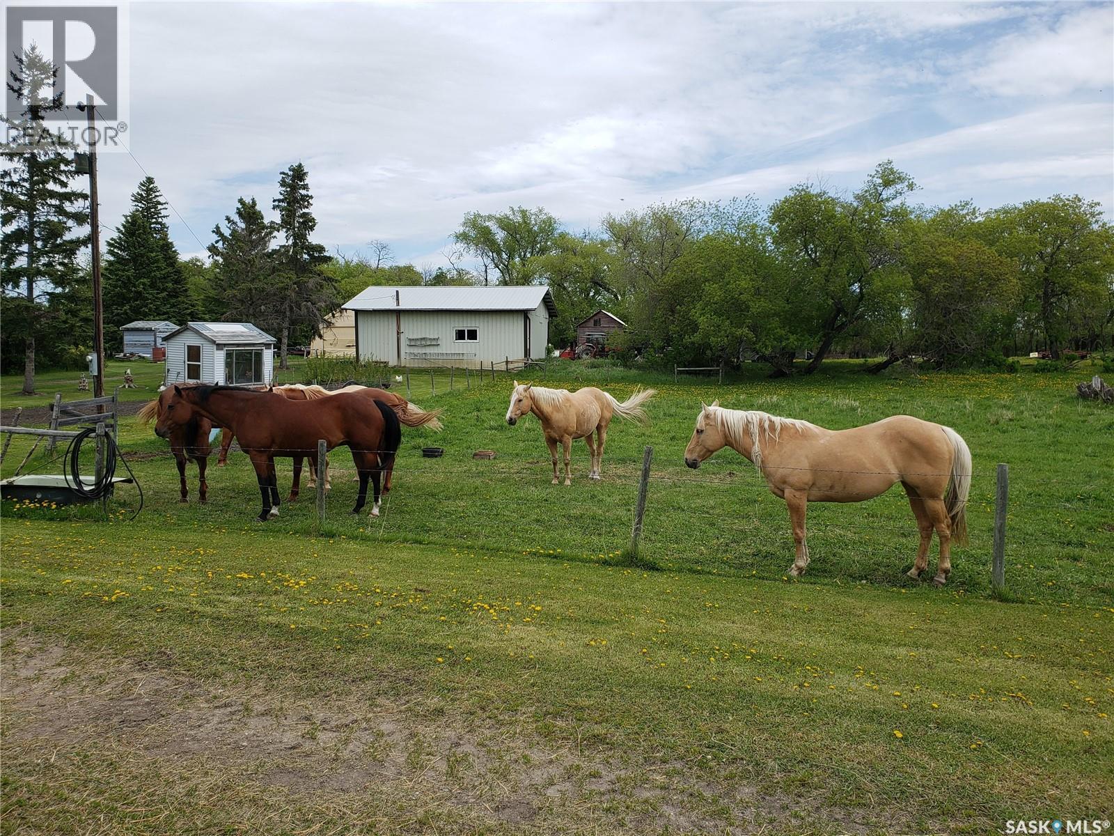 Neufeld Spalding Acreage, Spalding Rm No. 368, Saskatchewan  S0K 4C0 - Photo 48 - SK022438