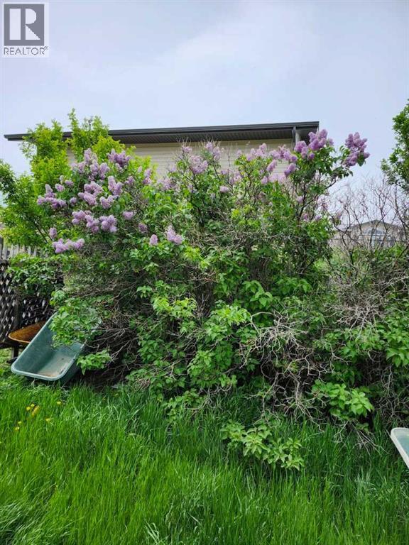 217 1 Street N, Lomond, Alberta  T0L 1G0 - Photo 21 - A2268530