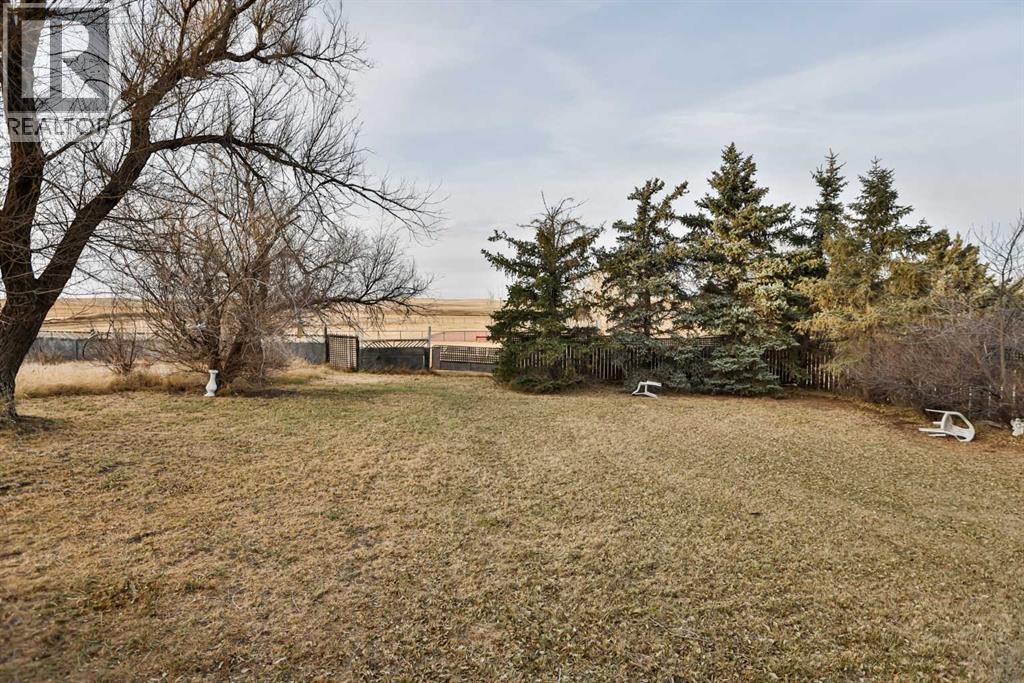217 1 Street N, Lomond, Alberta  T0L 1G0 - Photo 19 - A2268530
