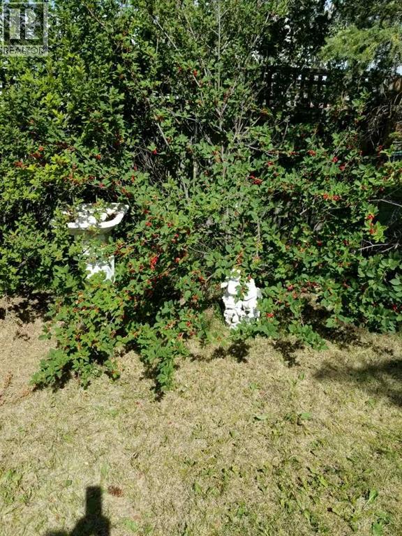 217 1 Street N, Lomond, Alberta  T0L 1G0 - Photo 20 - A2268530