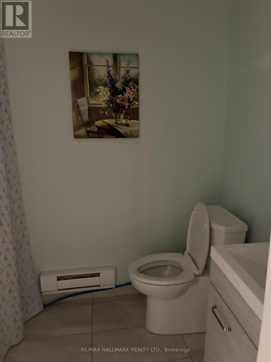 Lower Floor - 280 Danforth Avenue, Toronto, Ontario  M4K 1N6 - Photo 6 - E12515106