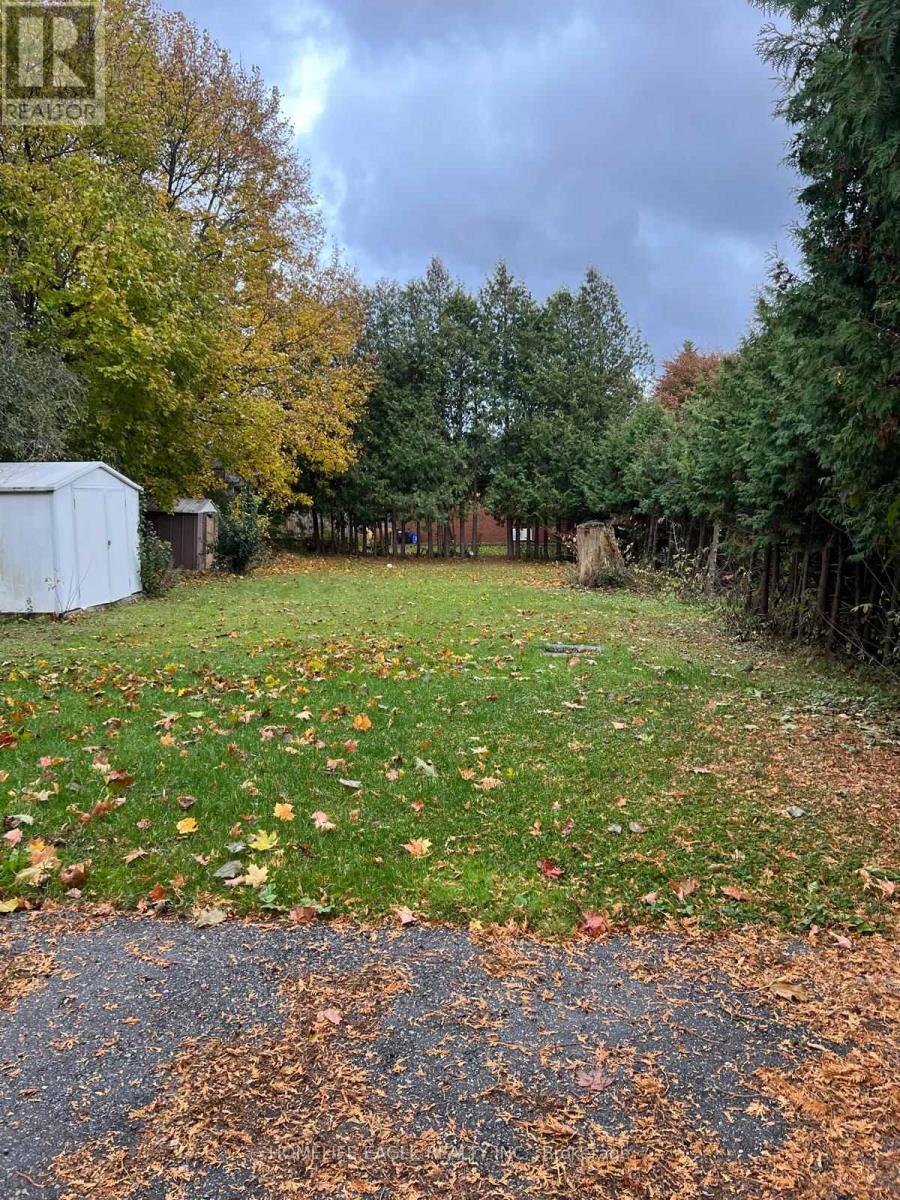 Basement - 43 Maple Grove Avenue S, Richmond Hill, Ontario  L4E 2V1 - Photo 11 - N12515184