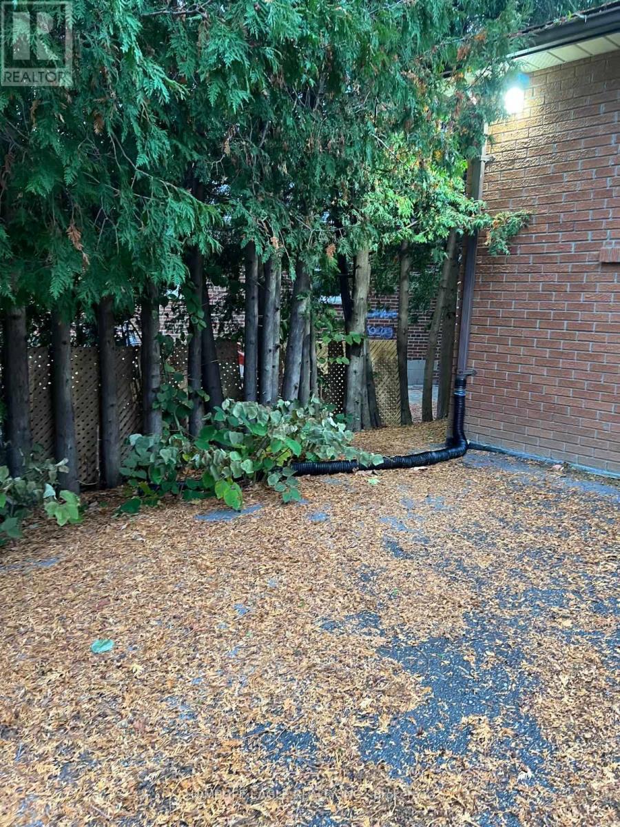 Basement - 43 Maple Grove Avenue S, Richmond Hill, Ontario  L4E 2V1 - Photo 12 - N12515184