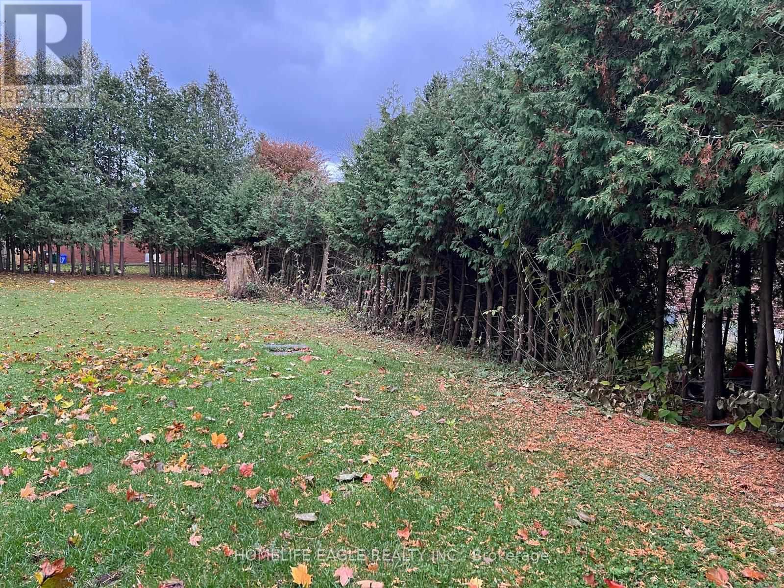 Basement - 43 Maple Grove Avenue S, Richmond Hill, Ontario  L4E 2V1 - Photo 2 - N12515184