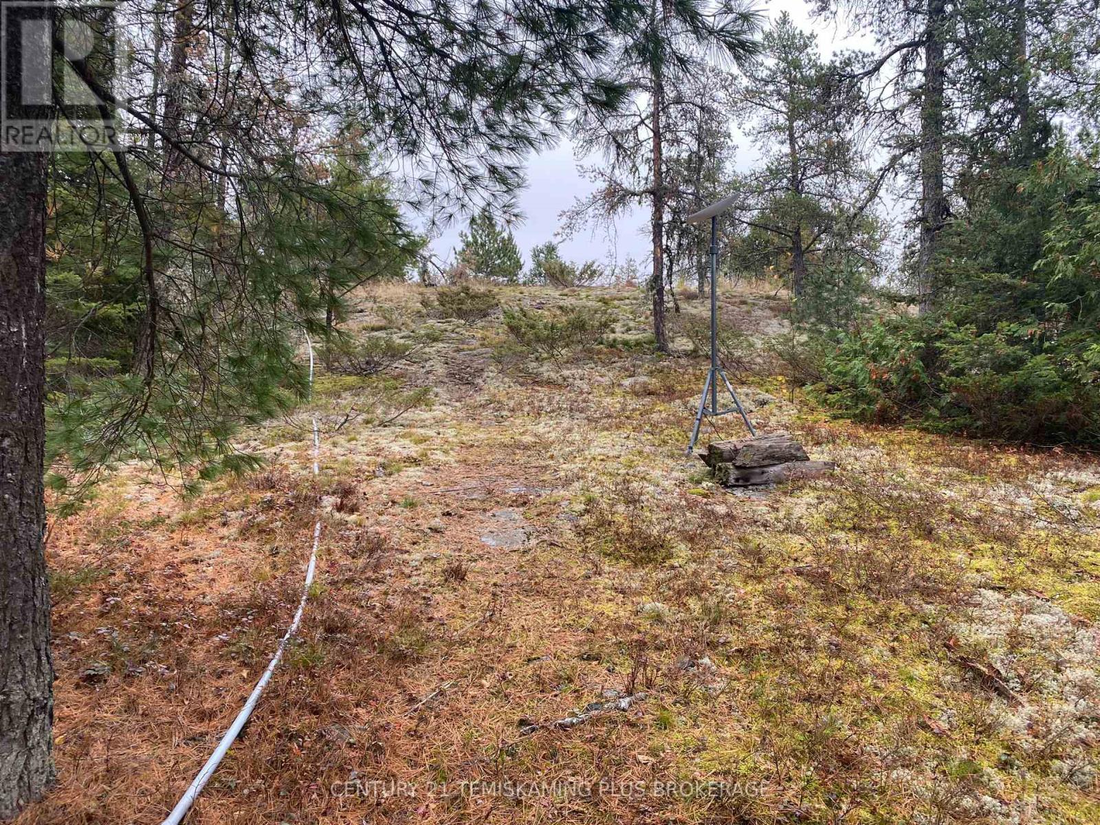 1 Weekes Island, Englehart, Ontario P0J 1H0 - Photo 24 - T12483301