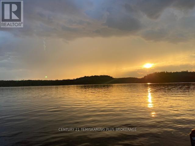 1 Weekes Island, Englehart, Ontario P0J 1H0 - Photo 39 - T12483301