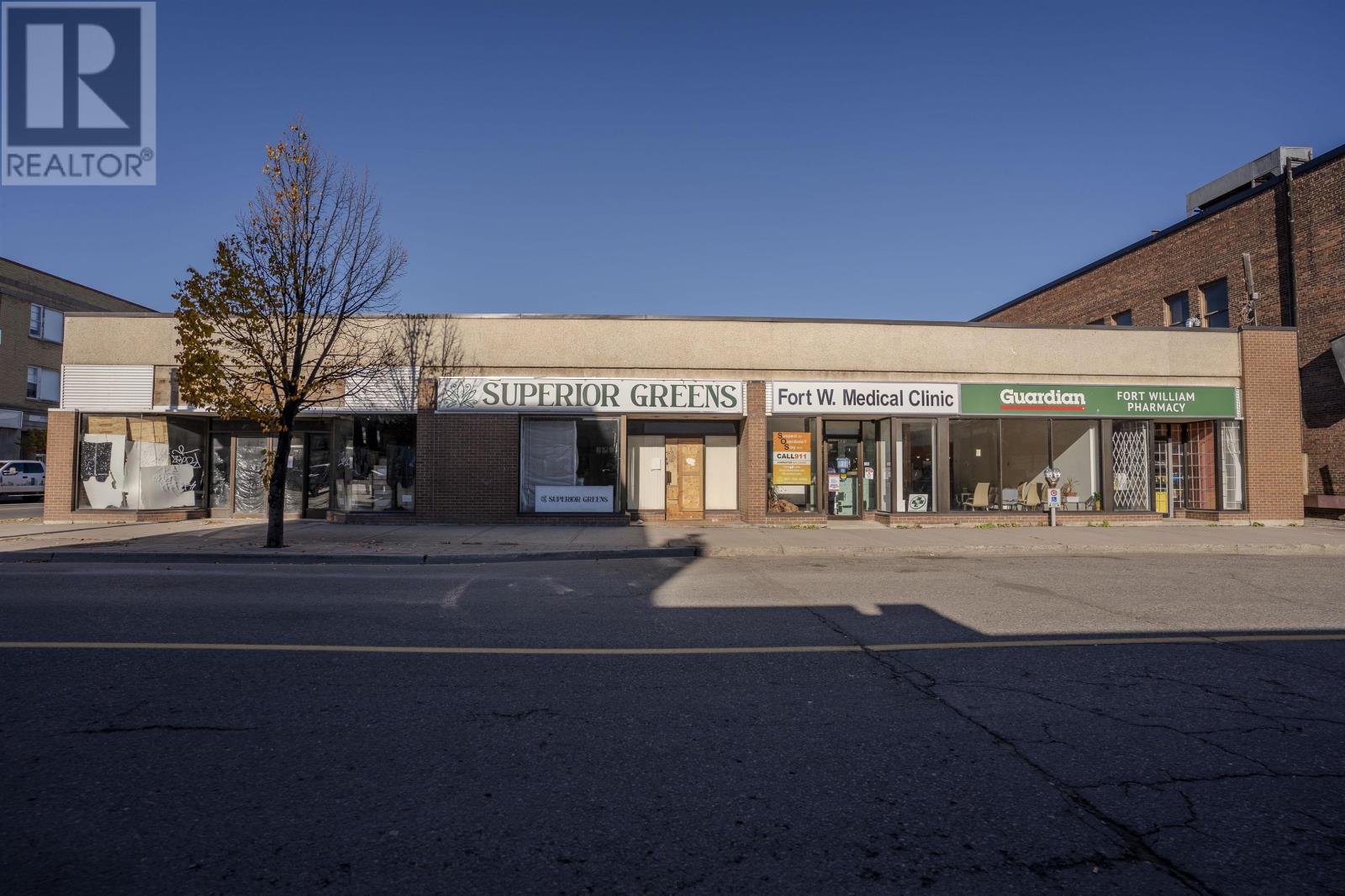 421 Victoria Ave E, Thunder Bay, Ontario  P7C 1A6 - Photo 3 - TB253382