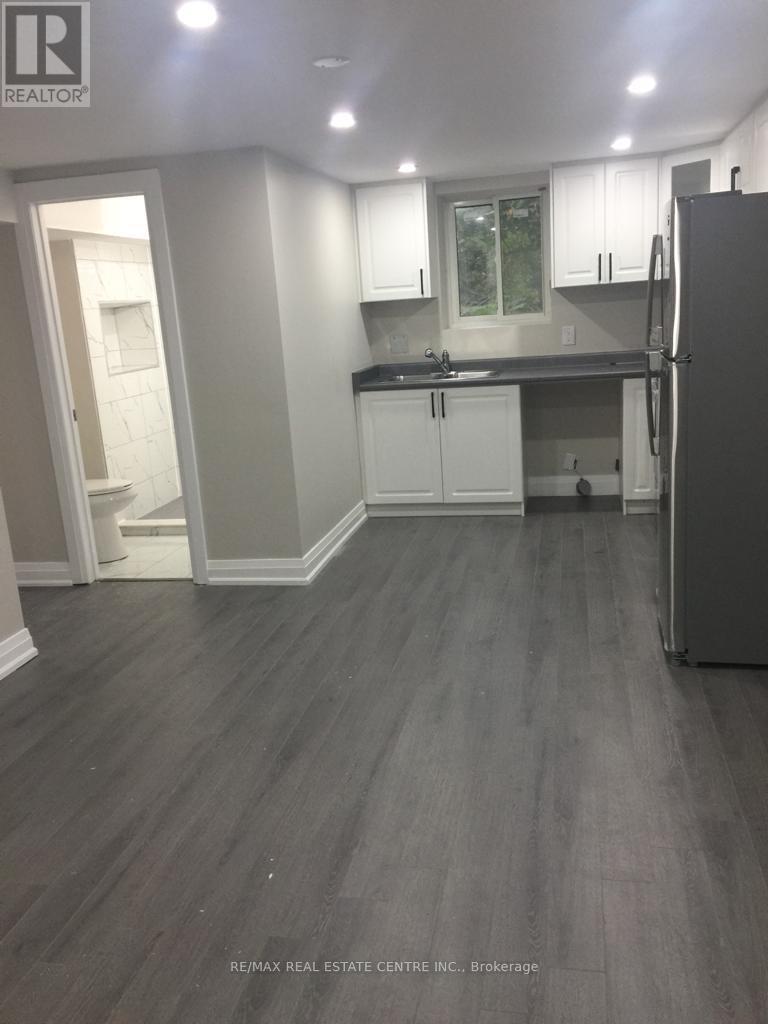 Bsment - 777 Cabot Trail, Milton, Ontario L9T 3S1 - Photo 10 - W12510792