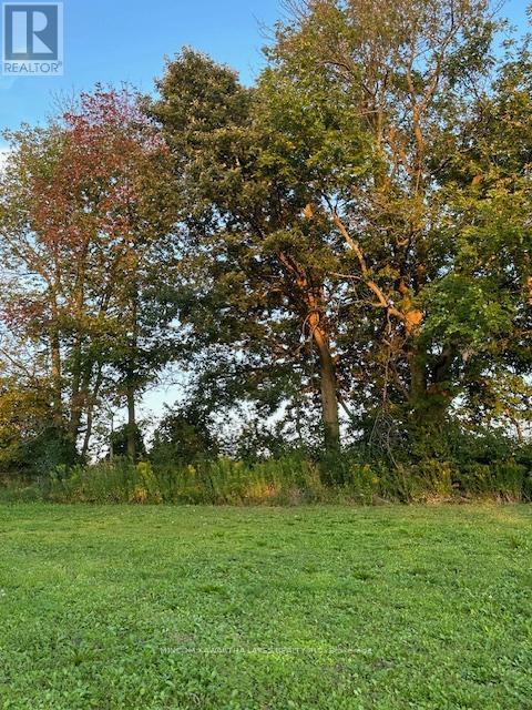 Pl 15 Base Line, Otonabee-South Monaghan, Ontario K0L 2G0 - Photo 10 - X12495428