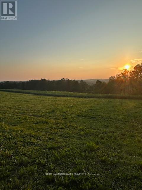 Pl 15 Base Line, Otonabee-South Monaghan, Ontario K0L 2G0 - Photo 11 - X12495428