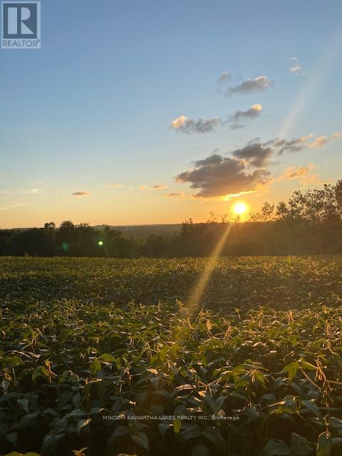 Pl 15 Base Line, Otonabee-South Monaghan, Ontario K0L 2G0 - Photo 15 - X12495428