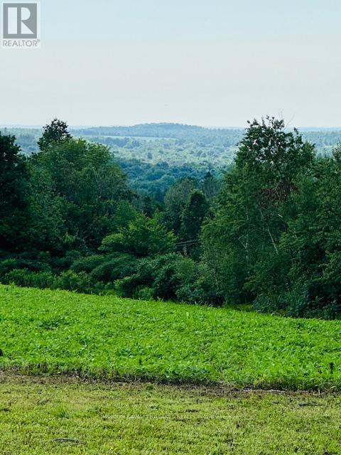 Pl 15 Base Line, Otonabee-South Monaghan, Ontario K0L 2G0 - Photo 13 - X12495428