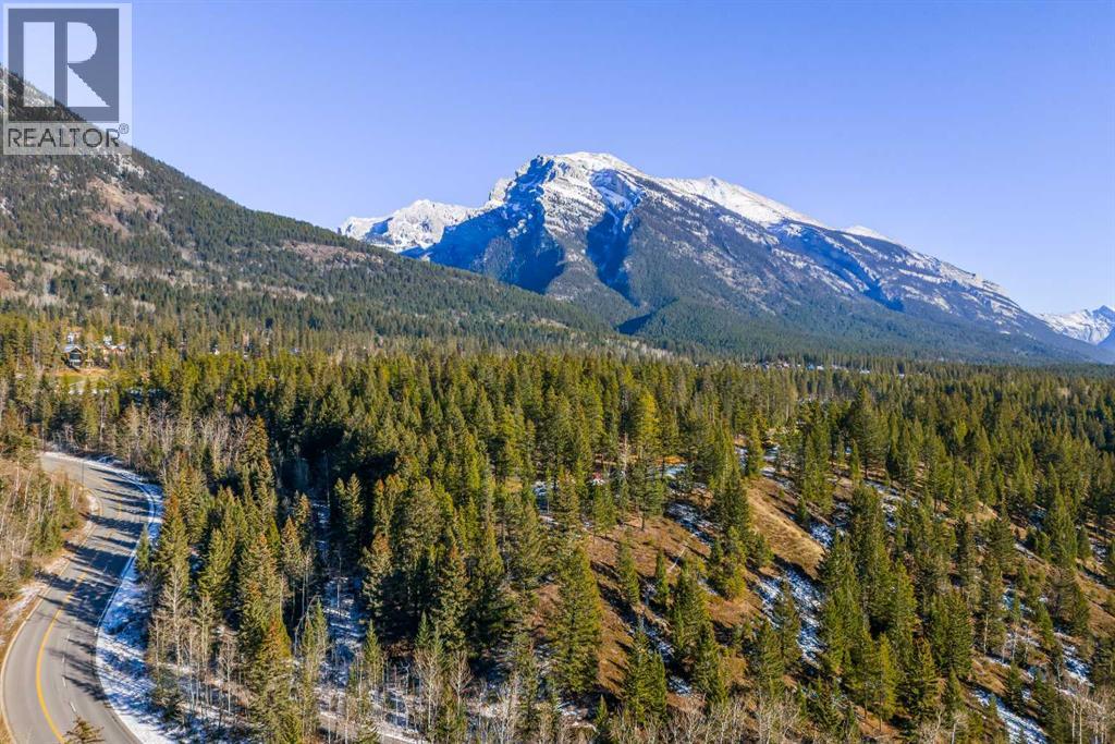 28 Blue Grouse Ridge, Canmore, Alberta  T1W 1L5 - Photo 44 - A2269131