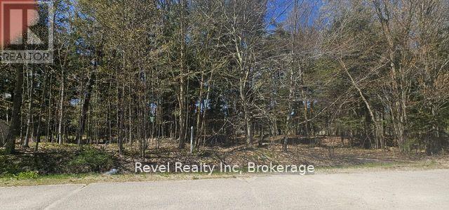 Lt 16 Remi Road, Tiny, Ontario L9M 0M7 - Photo 2 - S12340298