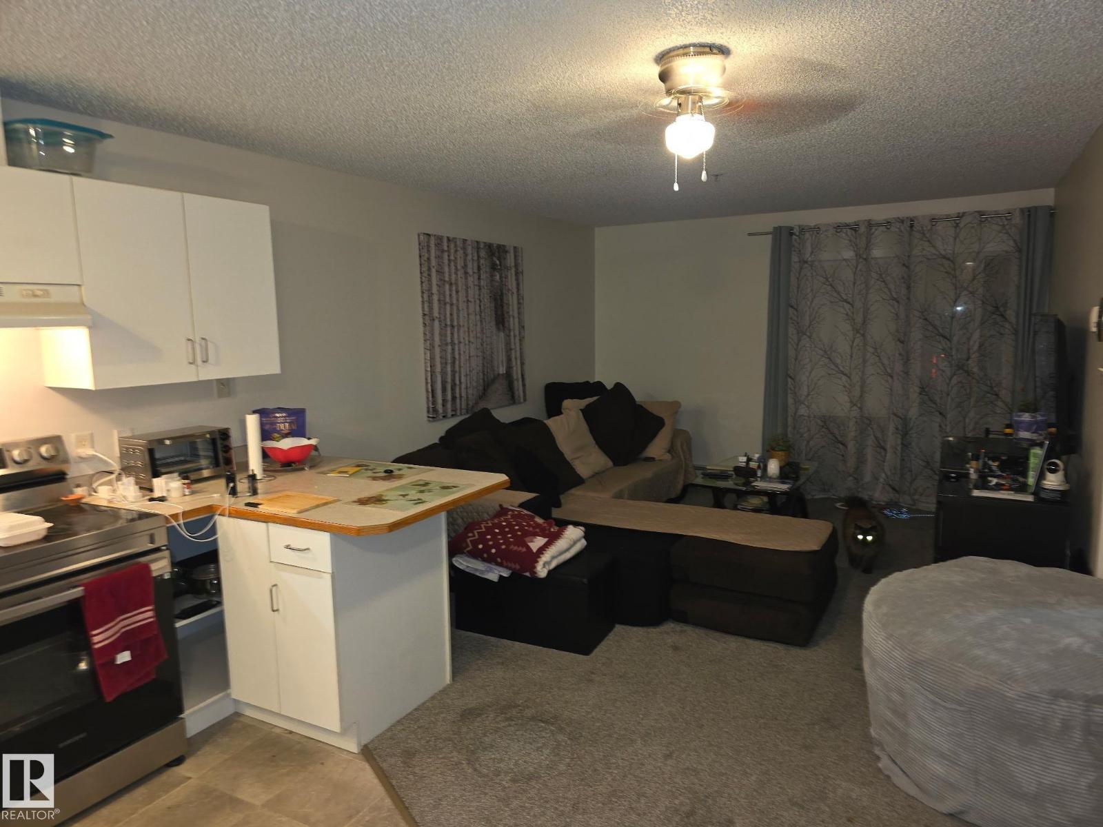 #110 11325 83 St Nw, Edmonton, Alberta  T5B 4W5 - Photo 10 - E4464737