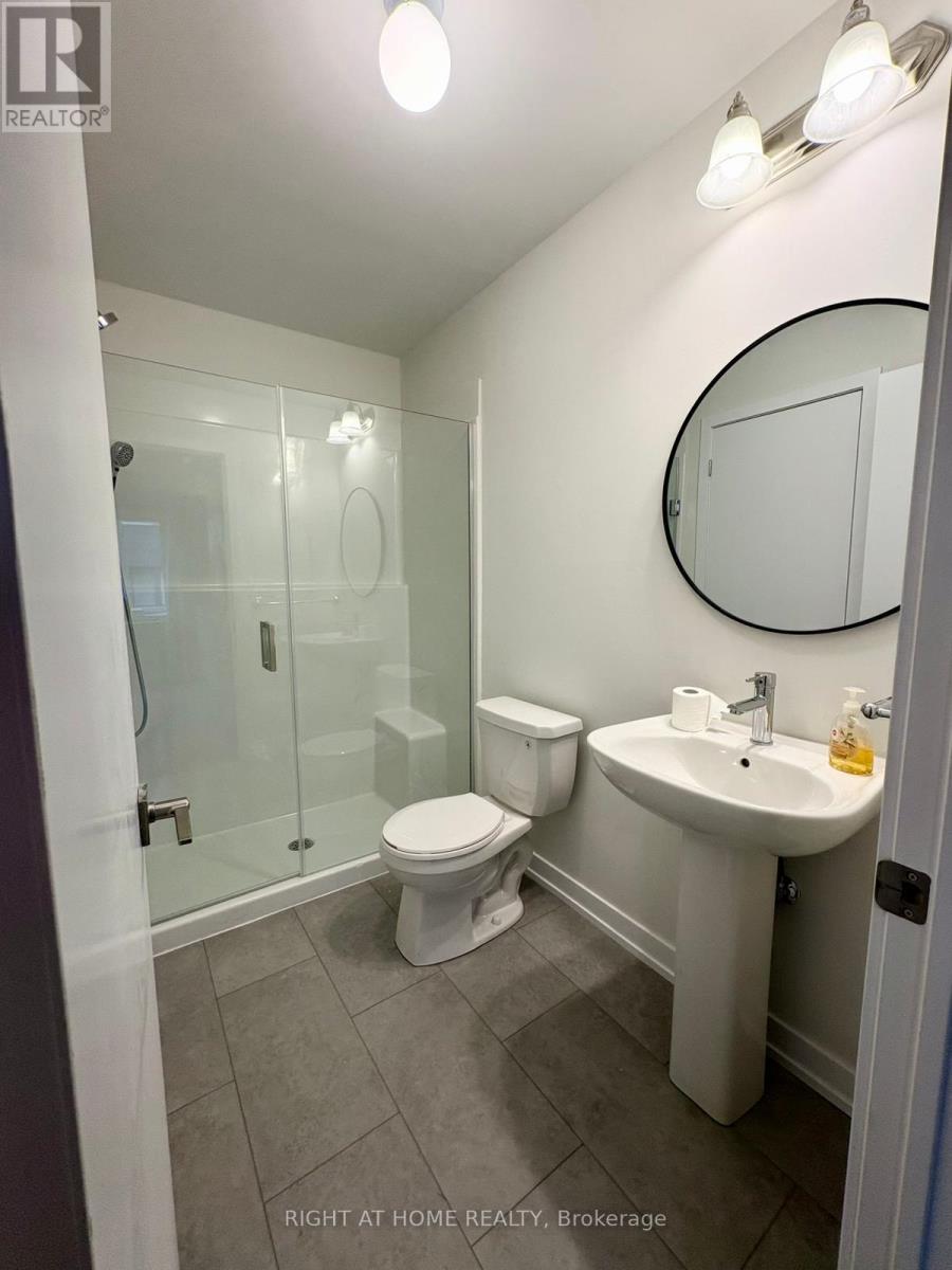 Basement - 1355 Shevchenko Boulevard, Oakville, Ontario  L6M 5R4 - Photo 5 - W12515424