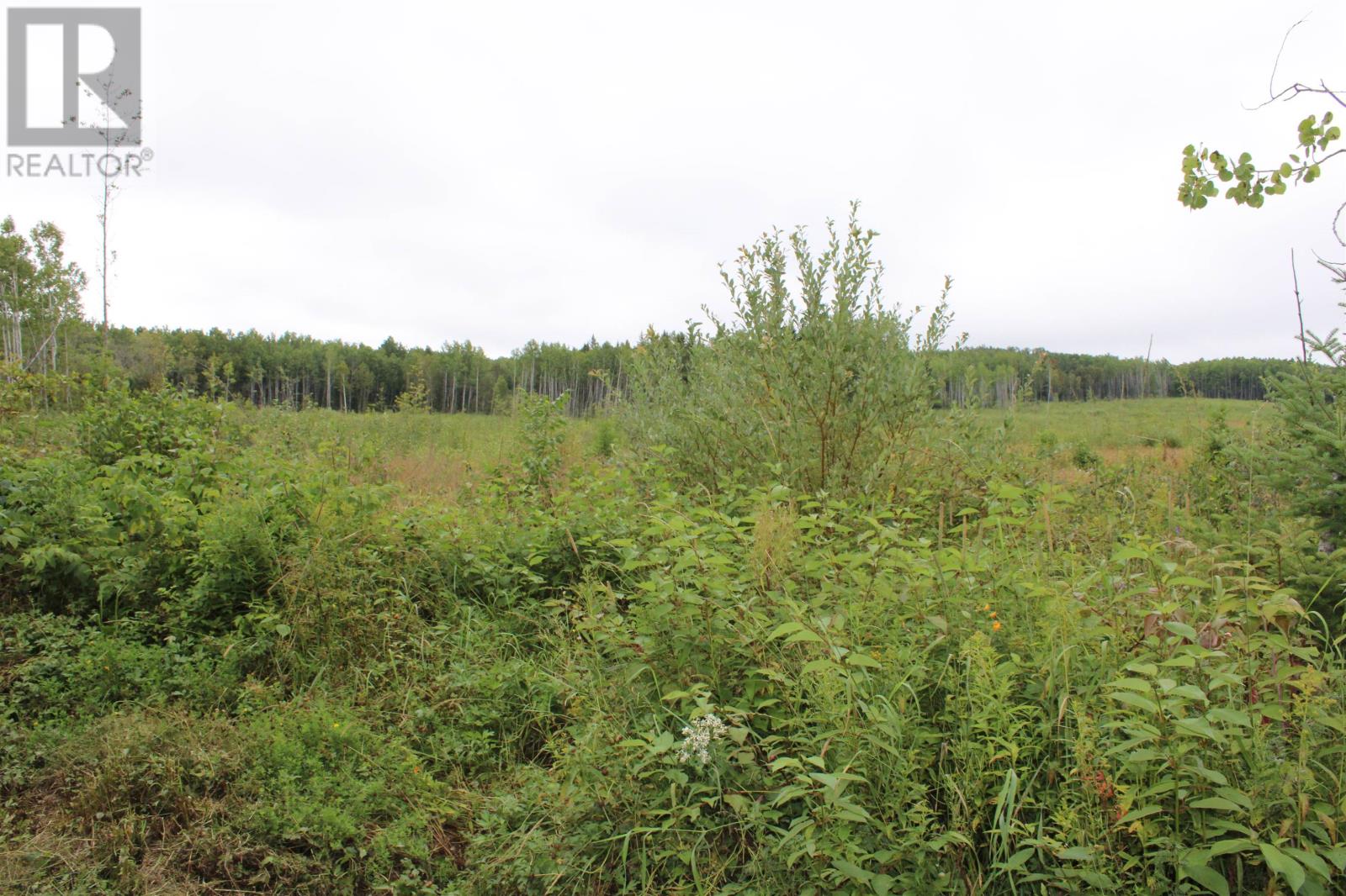 189 Larson Rd, Neebing, Ontario  P7L 0A4 - Photo 29 - TB252634