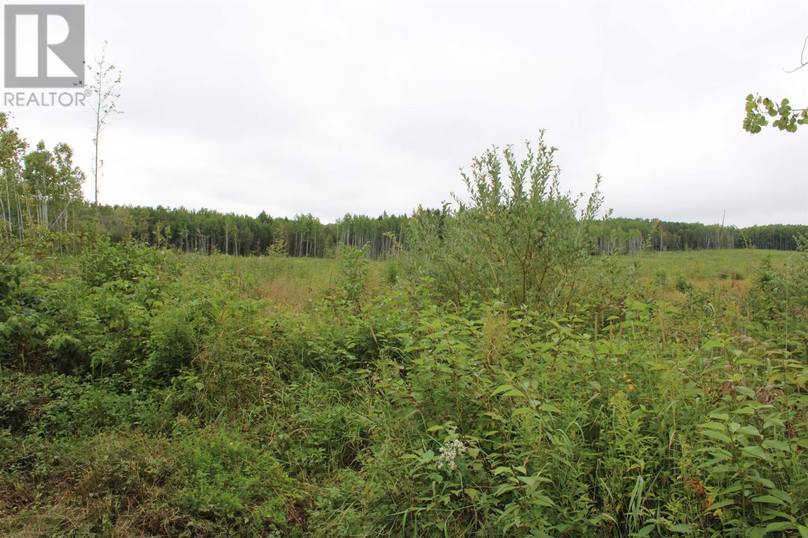 189 Larson Rd, Neebing, Ontario  P7L 0A4 - Photo 30 - TB252634