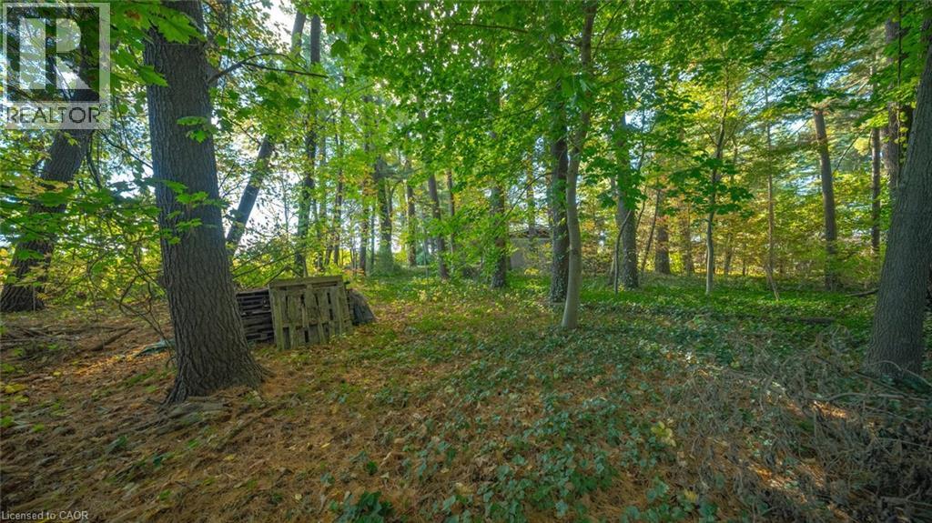 643 Gage Street, Delhi, Ontario  N4B 2G7 - Photo 3 - 40785140