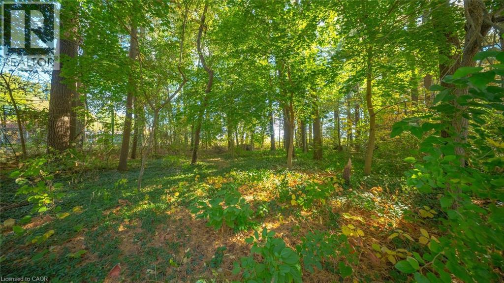 643 Gage Street, Delhi, Ontario  N4B 2G7 - Photo 4 - 40785140