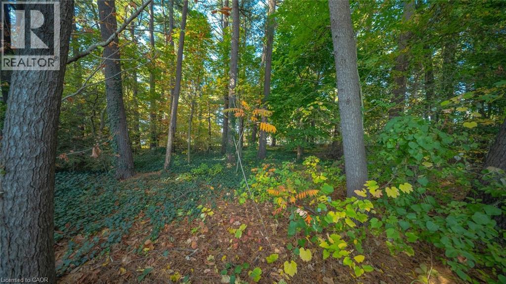 643 Gage Street, Delhi, Ontario  N4B 2G7 - Photo 5 - 40785140