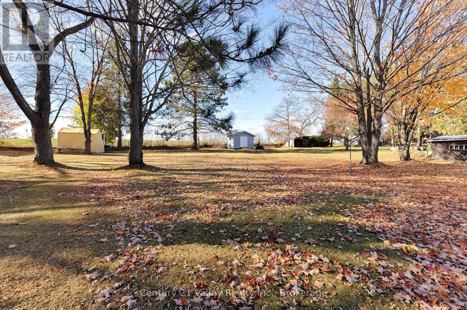 122 Alice Street, Bonnechere Valley, Ontario  K0J 1T0 - Photo 4 - X12515654