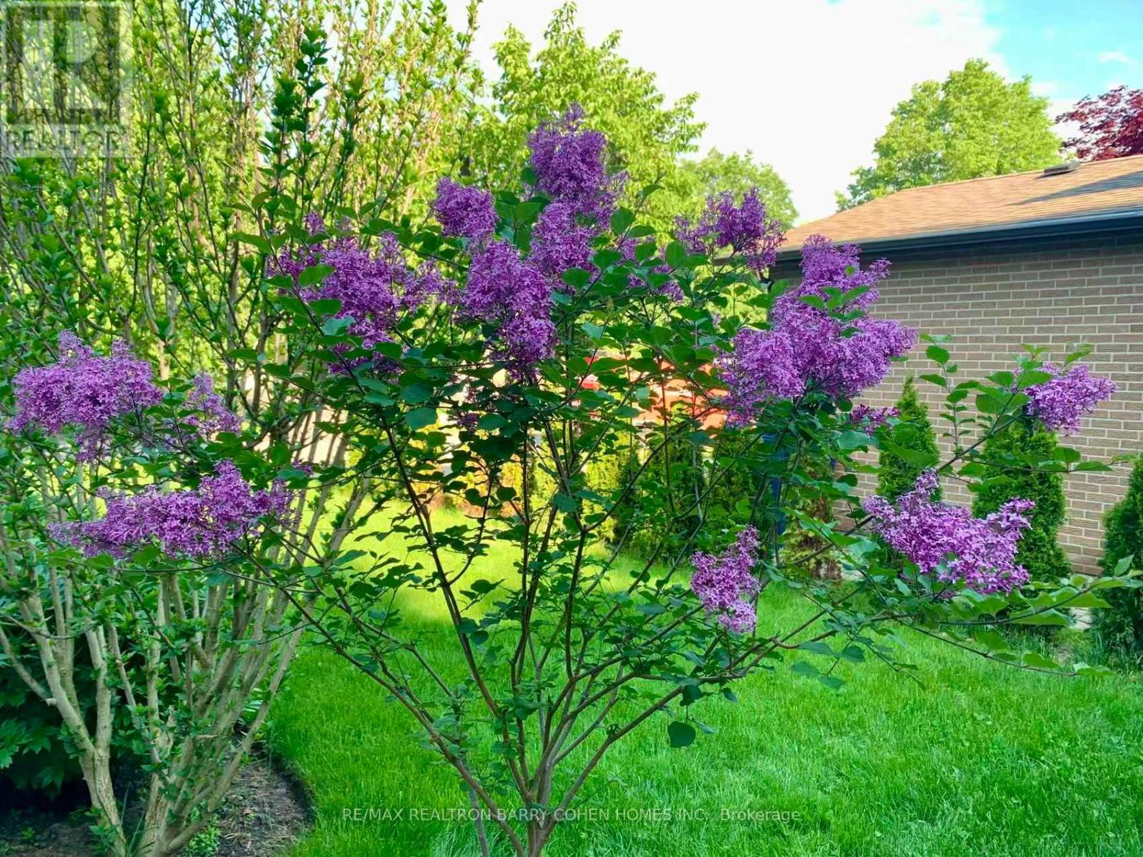 11 Elkpath Avenue, Toronto, Ontario  M2L 2V9 - Photo 48 - C12515606