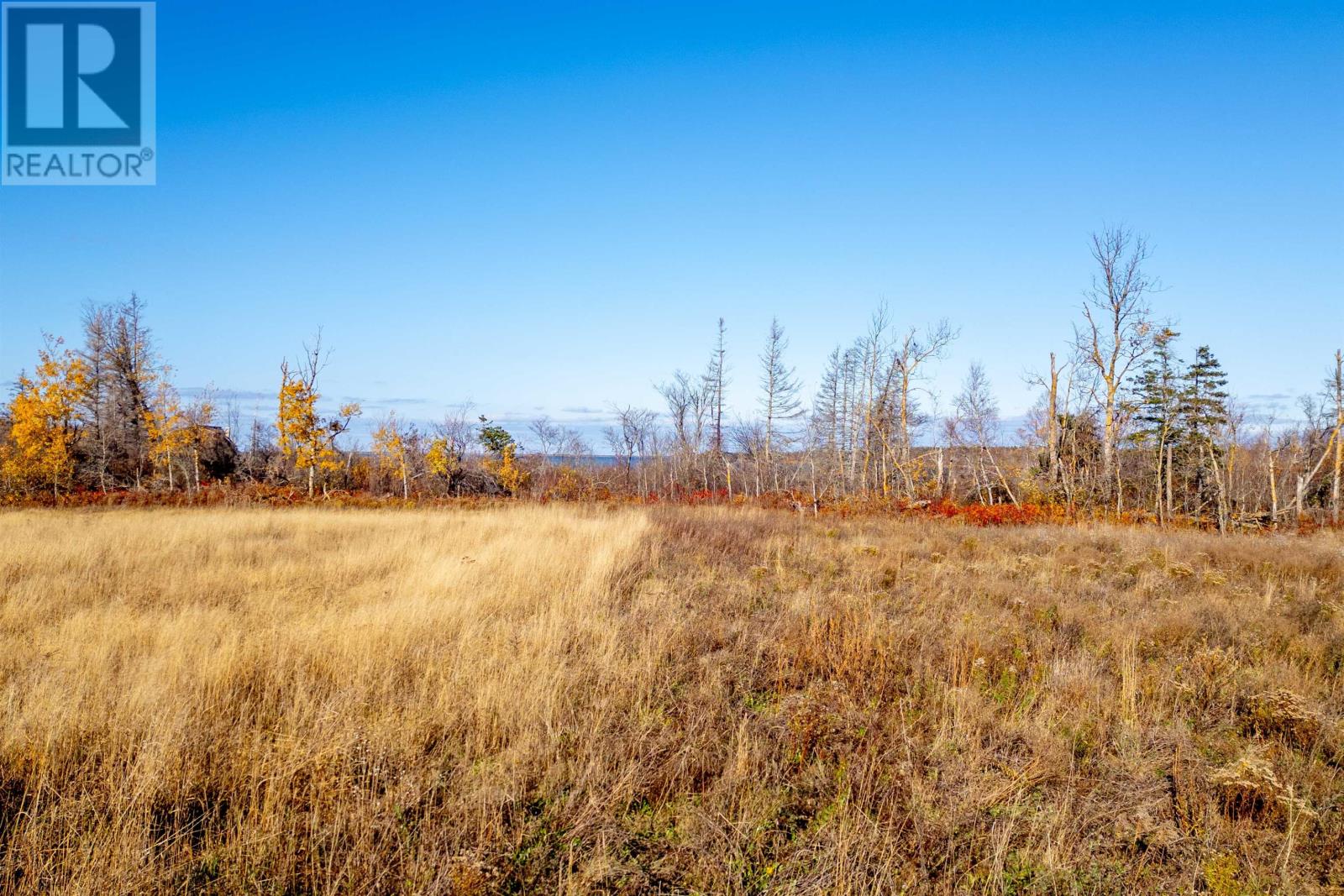 Donaldston Road, Tracadie, Prince Edward Island  C0A 1T0 - Photo 17 - 202527369