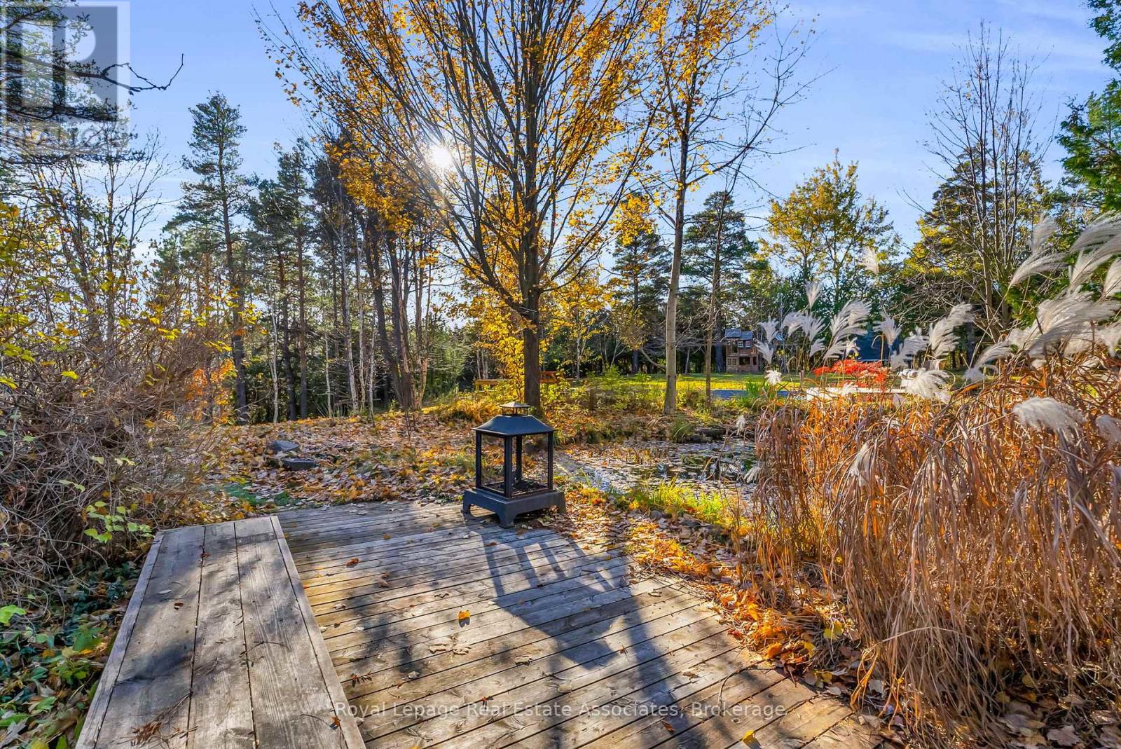 758129 2nd Line E, Mulmur, Ontario  L9V 0G8 - Photo 41 - X12515620