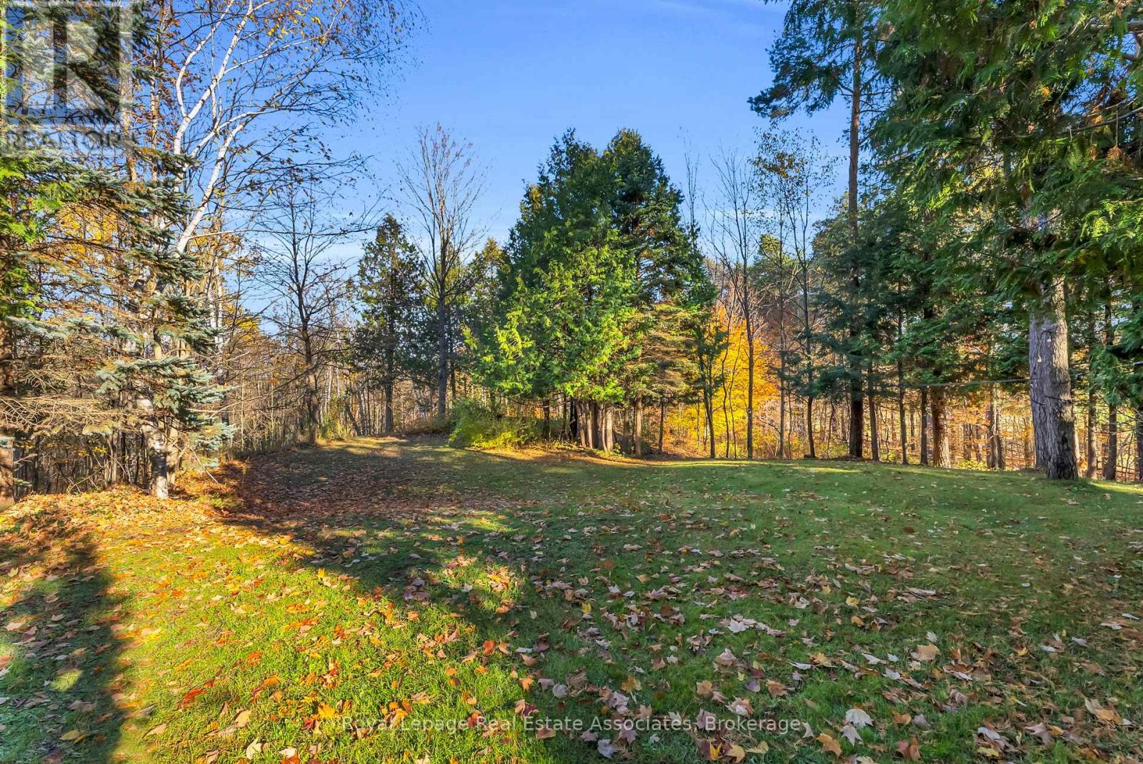 758129 2nd Line E, Mulmur, Ontario  L9V 0G8 - Photo 47 - X12515620