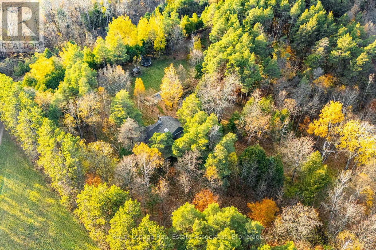 758129 2nd Line E, Mulmur, Ontario  L9V 0G8 - Photo 7 - X12515620