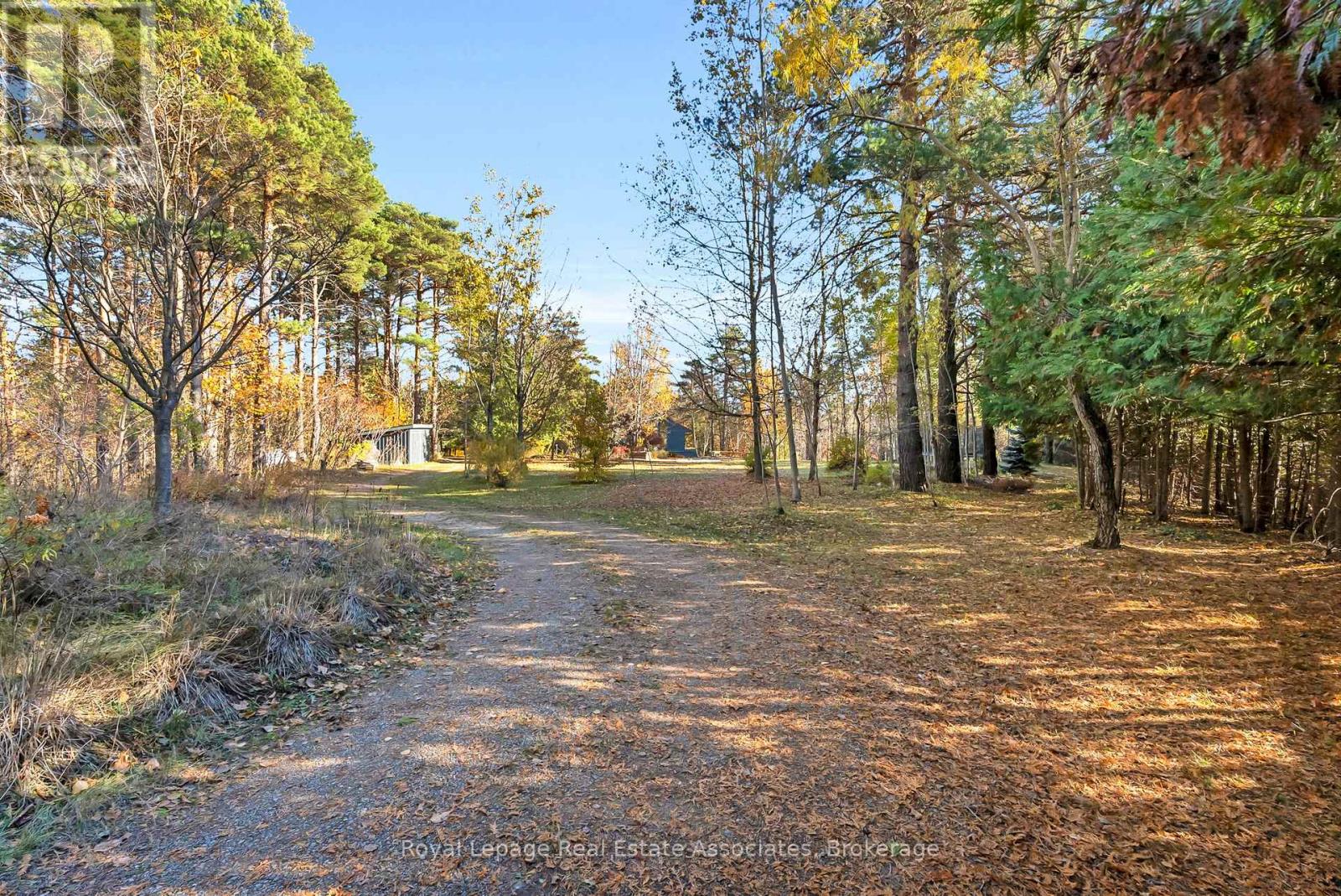 758129 2nd Line E, Mulmur, Ontario  L9V 0G8 - Photo 9 - X12515620