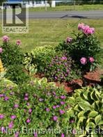 32 Pleasant Drive, Chipman, New Brunswick  E4A 1S3 - Photo 44 - NB129686