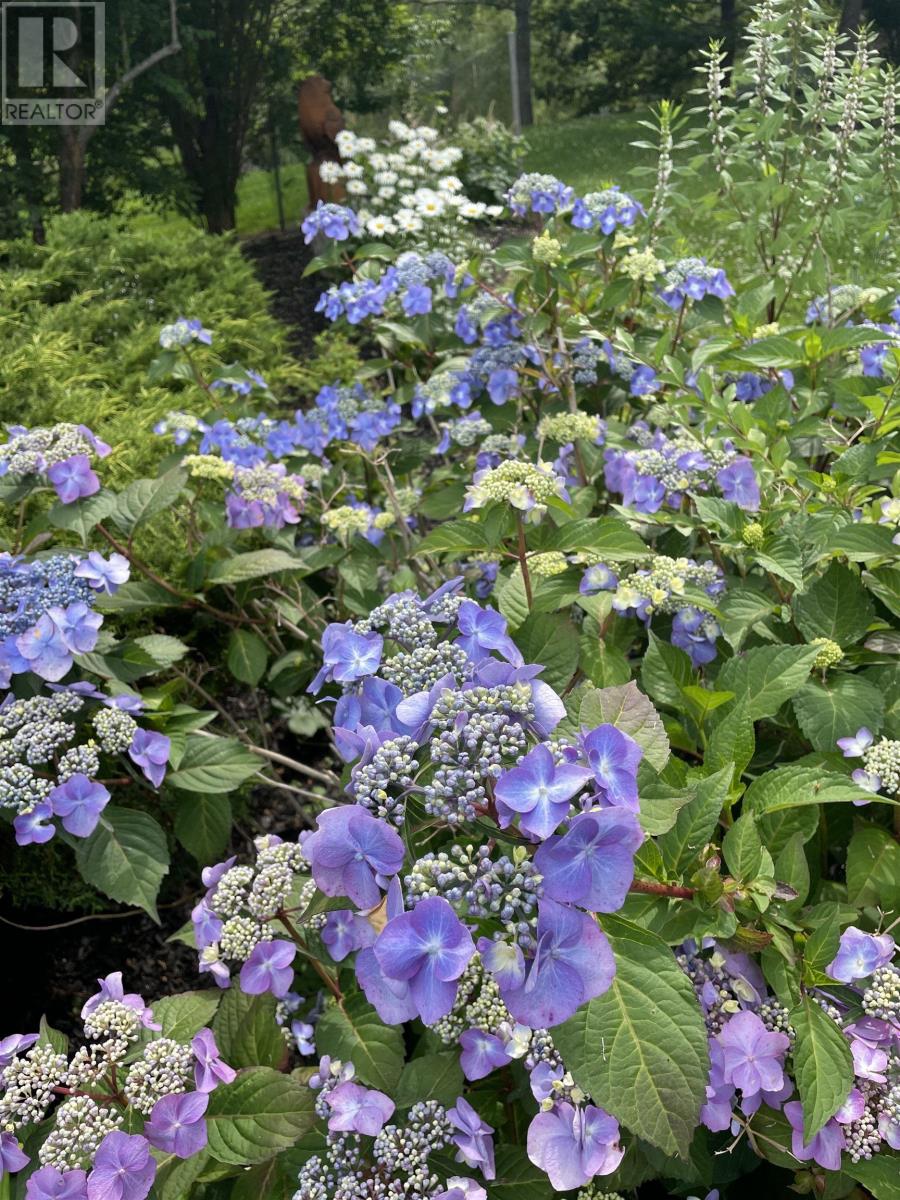 116 Princes Inlet Drive, Martins Brook, Nova Scotia  B0J 2C0 - Photo 37 - 202507897